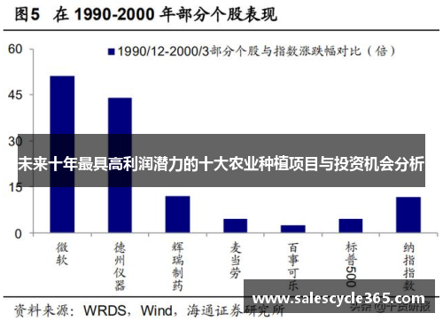 未来十年最具高利润潜力的十大农业种植项目与投资机会分析