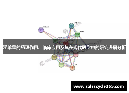 淫羊藿的药理作用、临床应用及其在现代医学中的研究进展分析